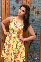 Mannara Chopra Interview About Jakkanna Movie